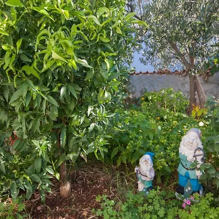 In Ibenik Near Adriatic Beaches