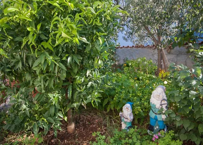 In Ibenik Near Adriatic Beaches